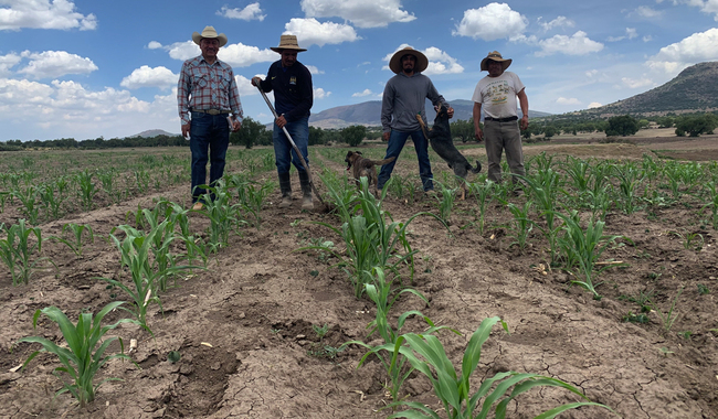 Mexico slides backwards on 2022 Global Hunger Index