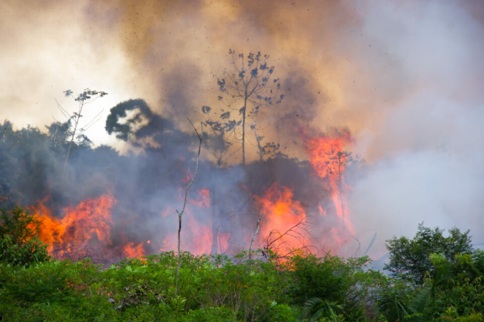 US announces transfers of USD 0 million to the Amazon Fund over five years