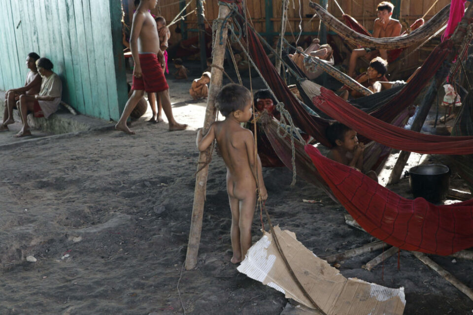 Mercury contamination remains exceedingly high among Brazil’s Yanomami Indigenous peoples