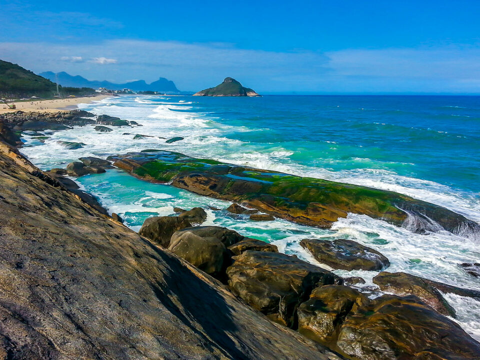 Fishscales: Traces of cocaine found in 13 sharks off coast of Rio de Janeiro, Brazil