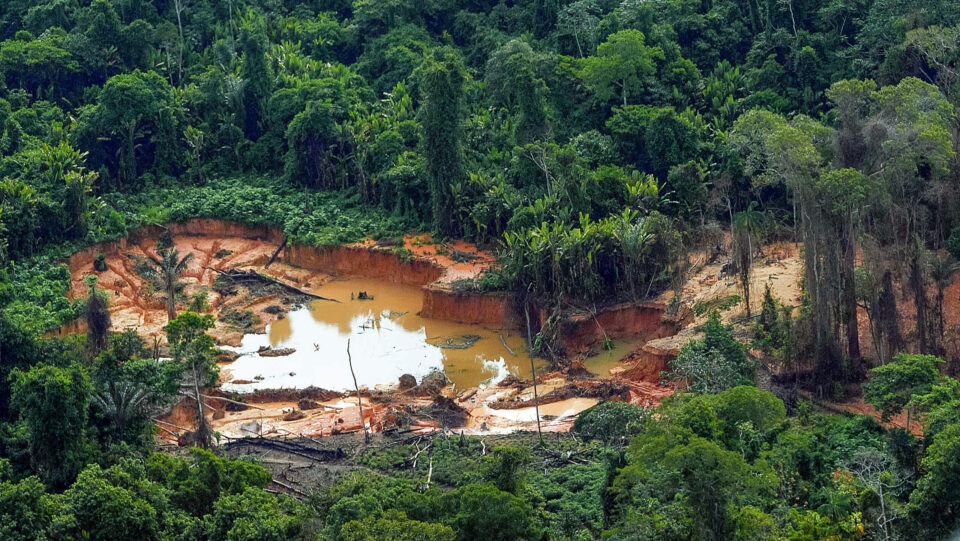 Brazil lost over 3 million acres of vegetation in 2024 despite 32% drop in deforestation